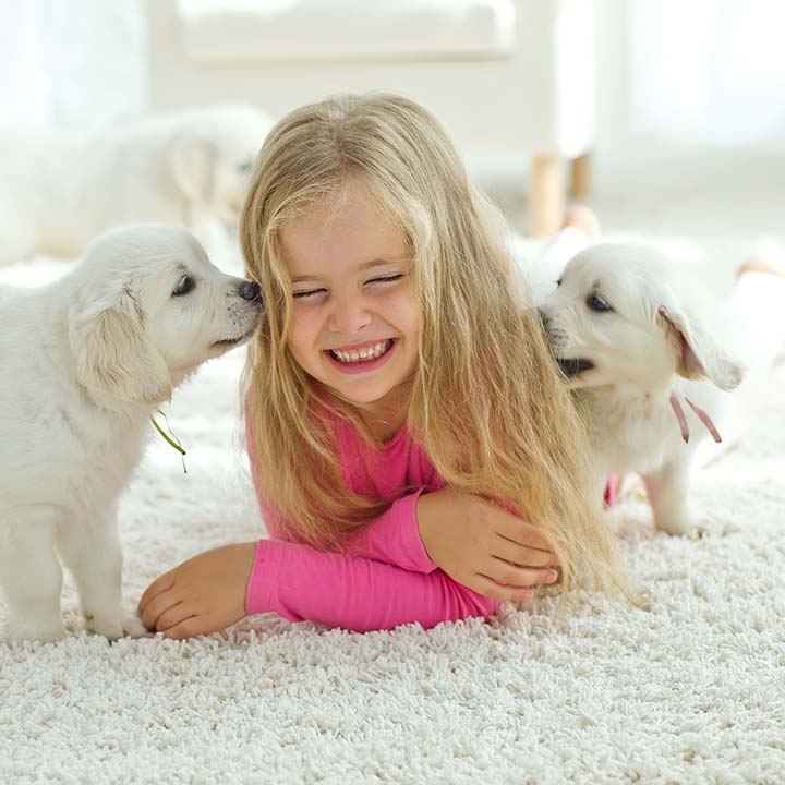 Girl on area rug with dogs