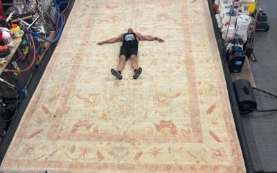 Big Rugs, Big Responsibility: Why Oversized Rugs Need Professional Care – And How The Cleaning Studio Delivers